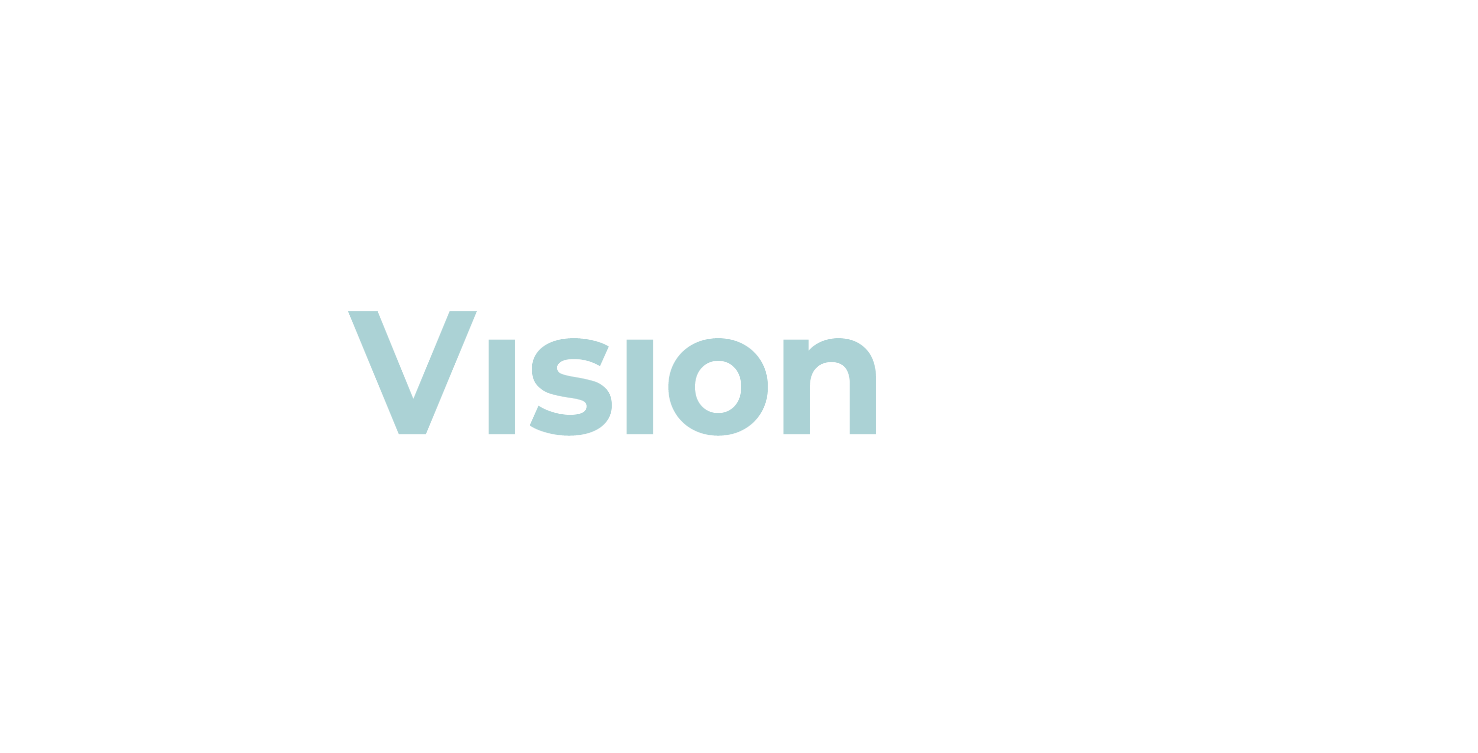 Vision Wash